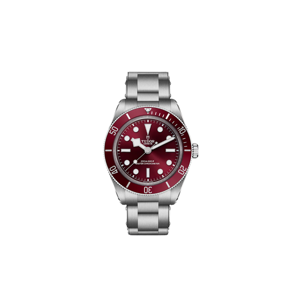 Tudor Black Bay 58 M7939A1A0RU-0002
